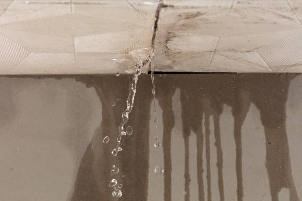 Professional Structural Drying technician working in McDermott, OH